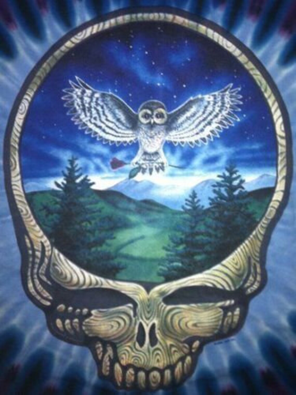 Grateful Dead Owl shirt - Grateful Dead Stealie tie dye shirt - Owl tie dye shirt - Dead and Company tie dye shirt - sizes: small, medium, large, XL, 2XL, 3XL and 4XL